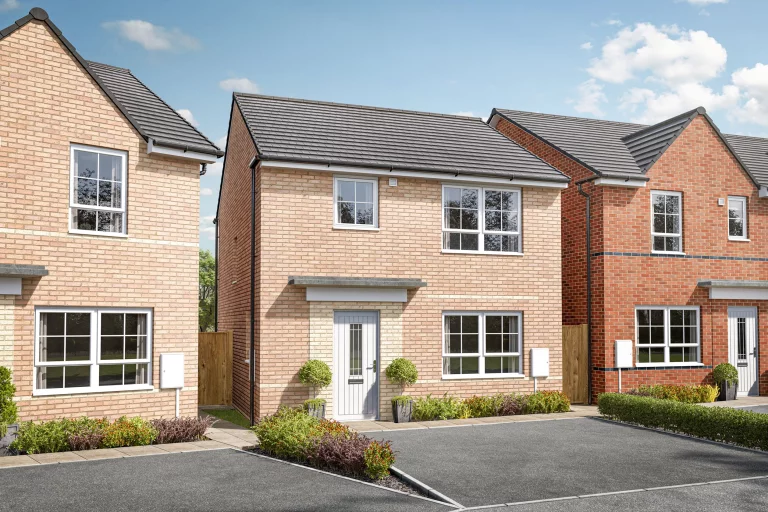 Image carousel 3538586 1769742168