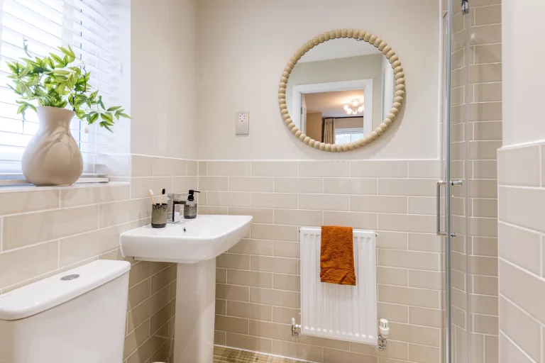 Image carousel 3538601 1769742211