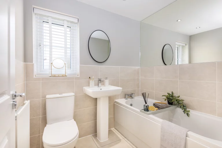 Image carousel 3538711 1769742214