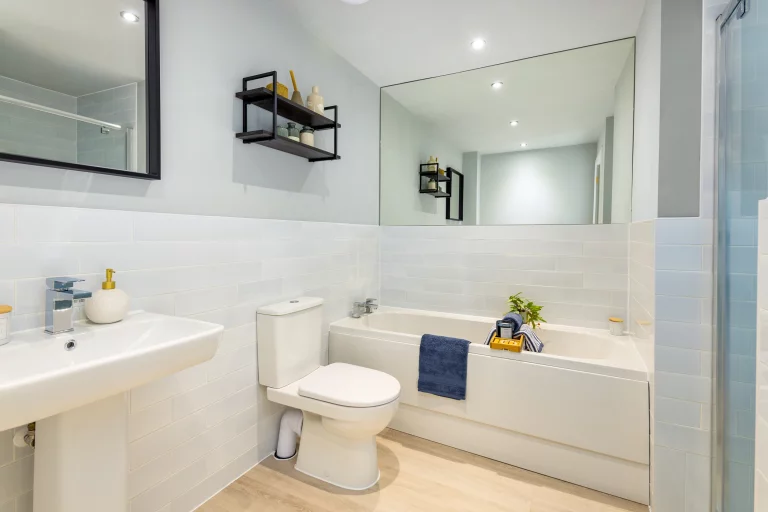 Image carousel 3538721 1769742215