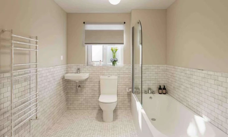 Image carousel 3539196 1769824906