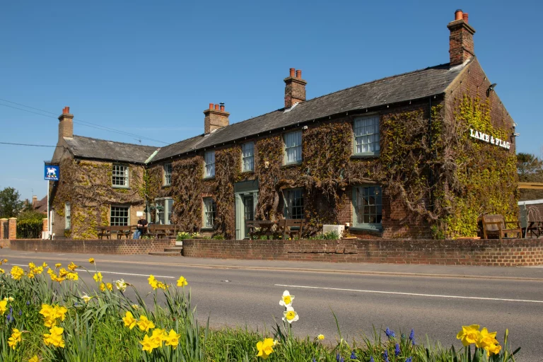 Image carousel 3541601 1770174046