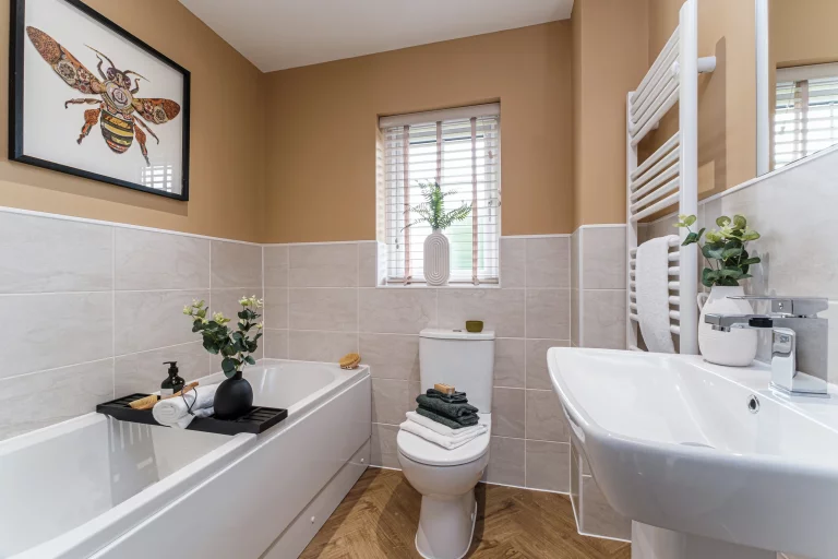 Image carousel 3541701 1770174146