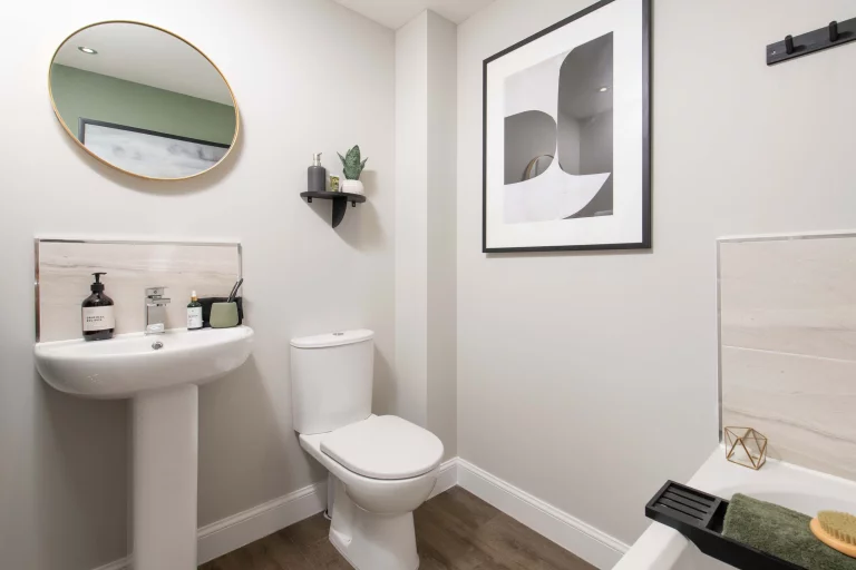 Image carousel 3544261 1770433321