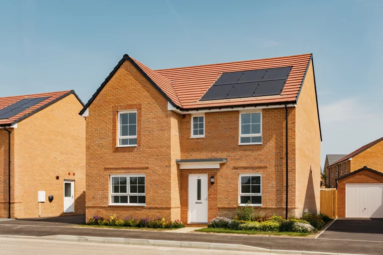 Image carousel 3544451 1770433471