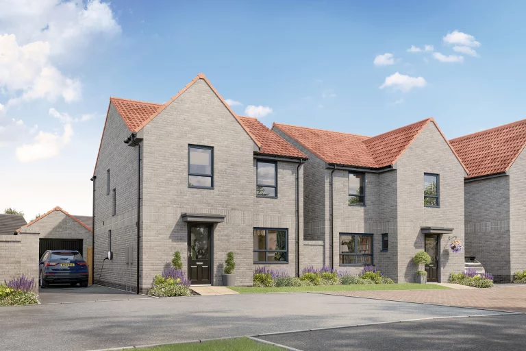 Image carousel 3547951 1771038131