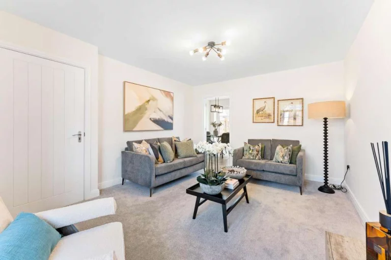 Image carousel 3549341 1771466465