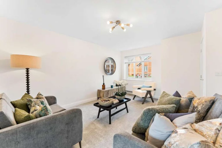 Image carousel 3549346 1771466466