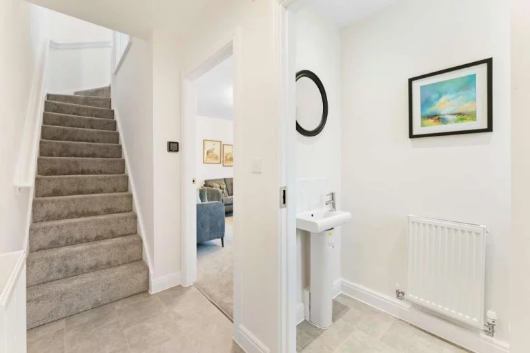 Image carousel 3549351 1771466466