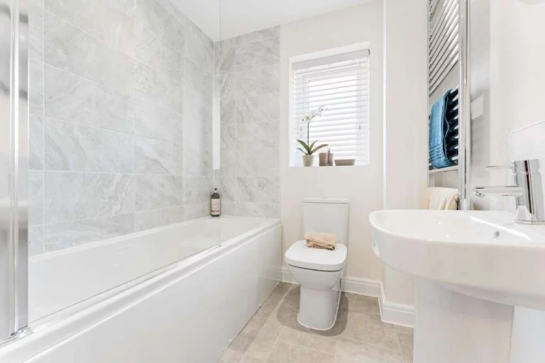 Image carousel 3549371 1771466467