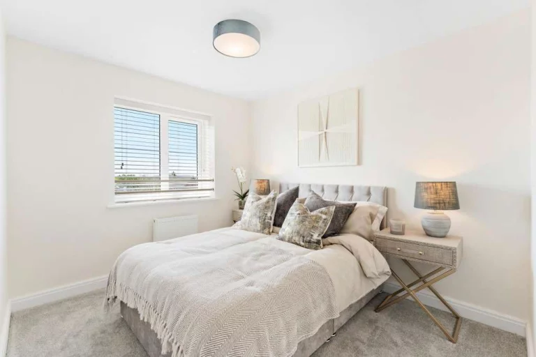 Image carousel 3549391 1771466468