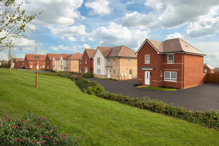 Image carousel 3553506 1772247663