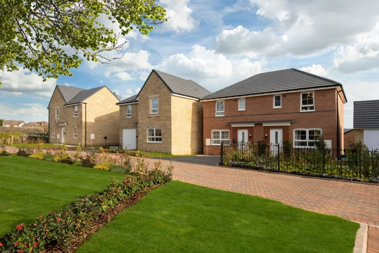 Image carousel 3554486 1772506849