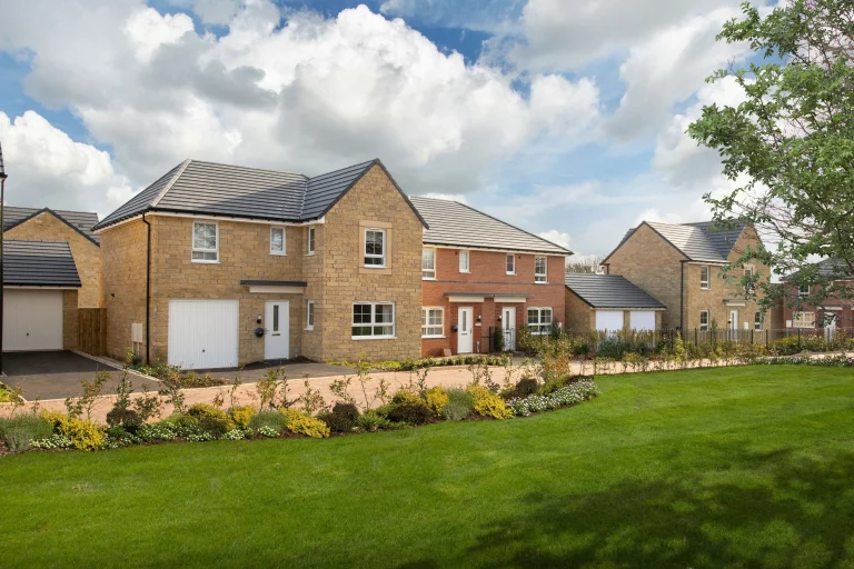 Image carousel 3554491 1772506850