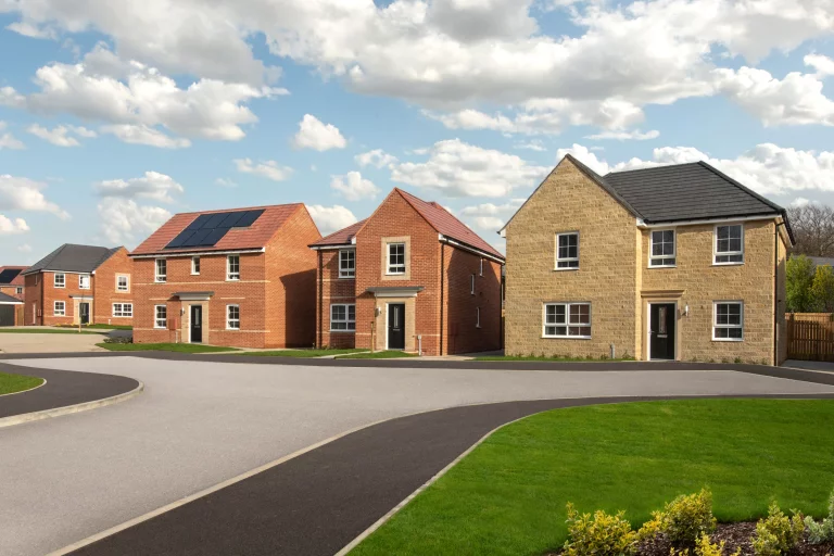 Image carousel 3554516 1772506873