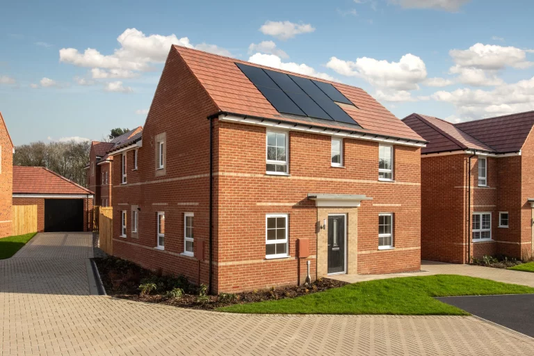 Image carousel 3554561 1772507027