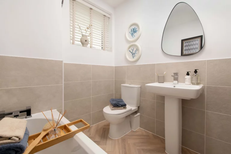 Image carousel 3554746 1772593324