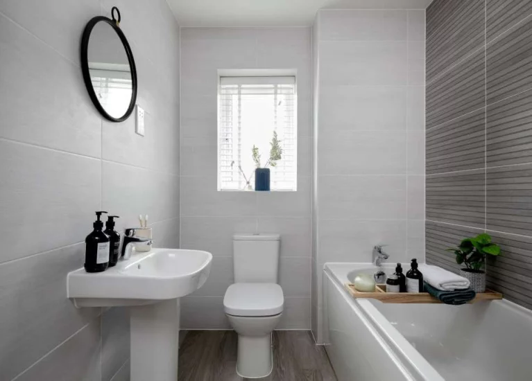 Image carousel 3555141 1772676082