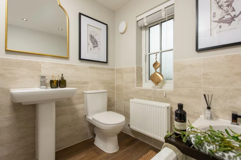 Image carousel 3555211 1772679702