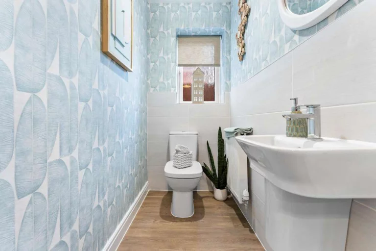 Image carousel 3555371 1772762499