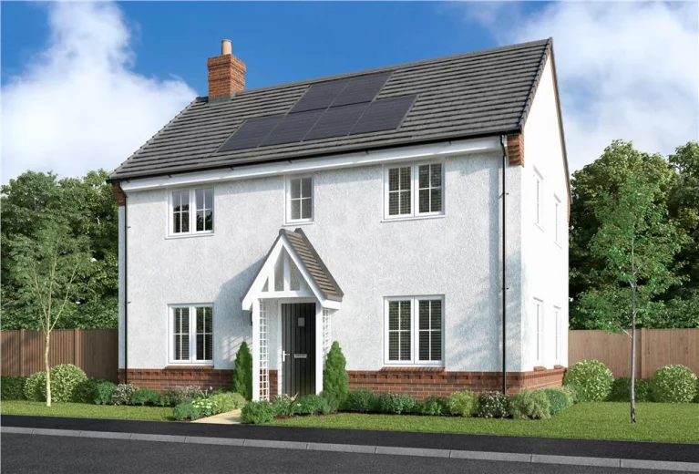 Image carousel 3555601 1772763894