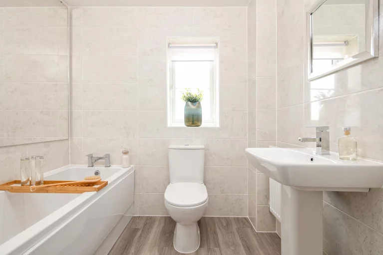 Image carousel 3556311 1772852505