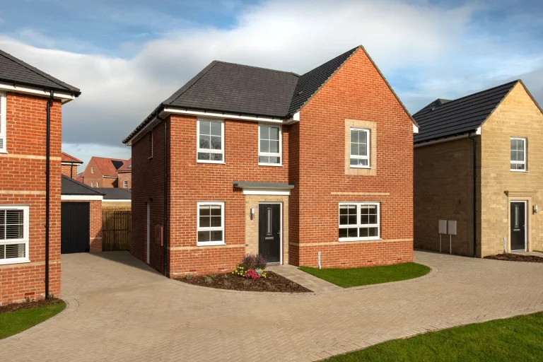 Image carousel 3556431 1772852624