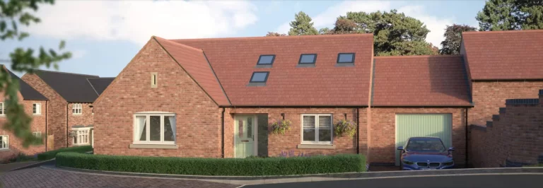 Image carousel 3556741 1773012240