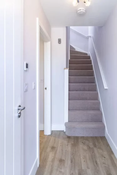 Image carousel 3556806 1773014298