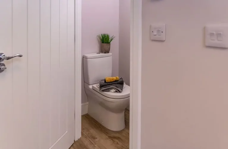 Image carousel 3556821 1773014327