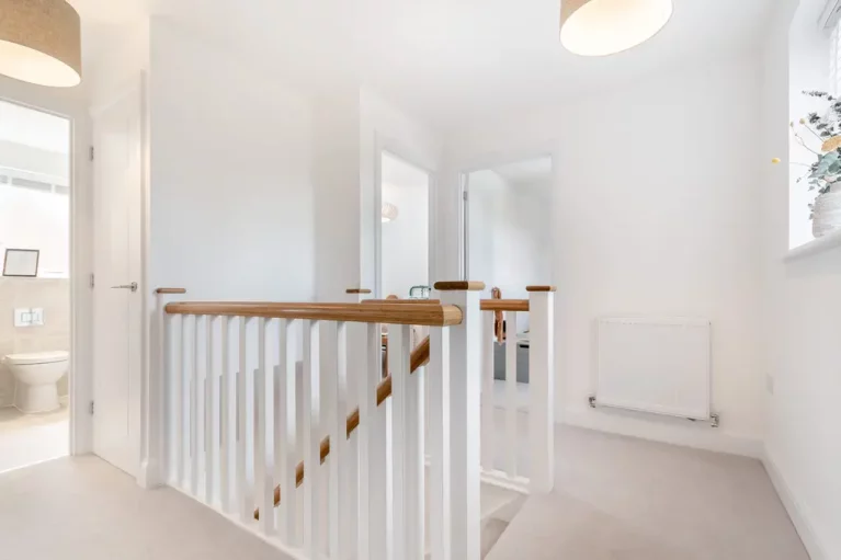 Image carousel 3556931 1773014794