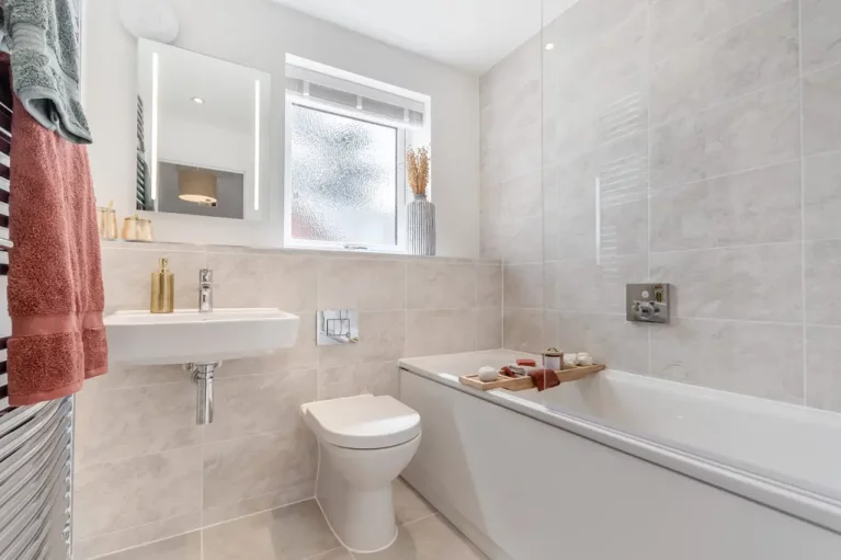 Image carousel 3556966 1773014860