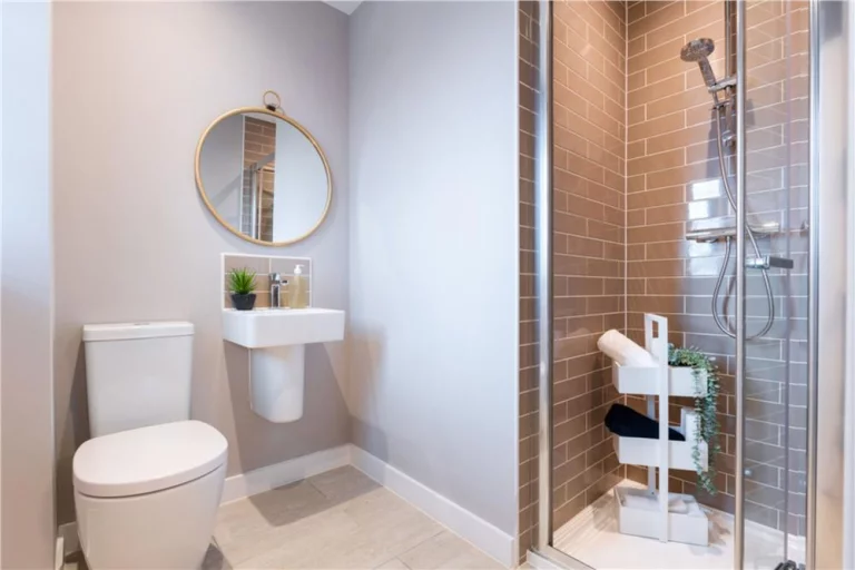 Image carousel 3557686 1773023268