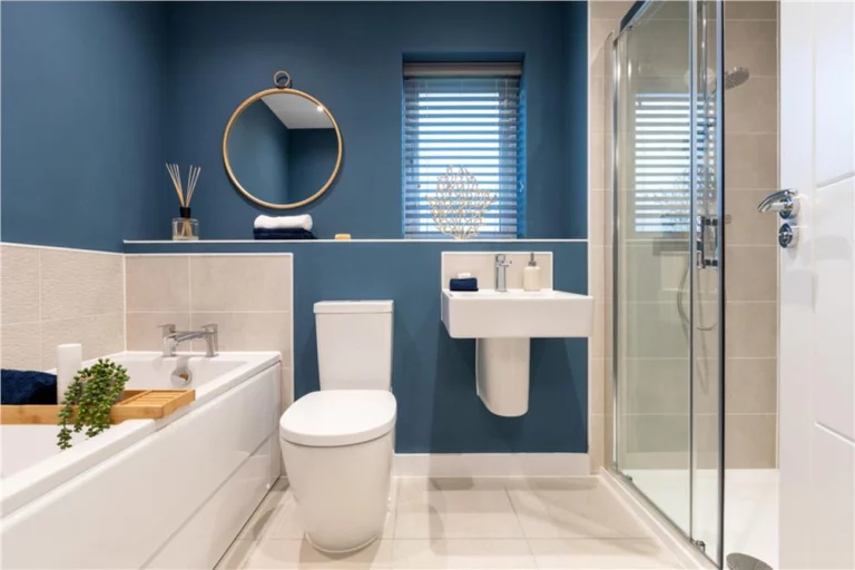 Image carousel 3557711 1773023269