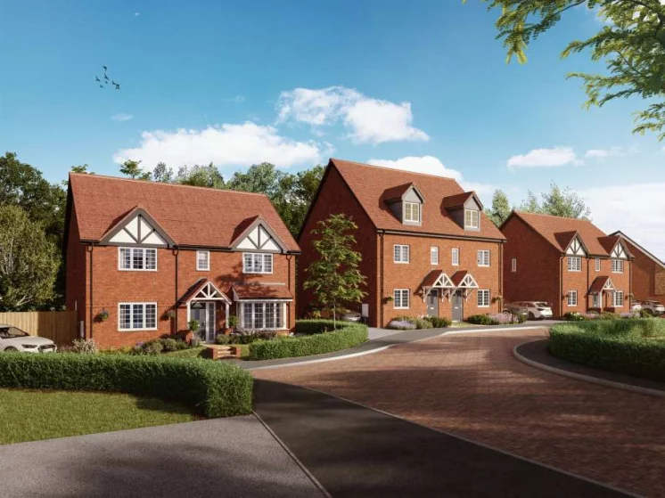 Image carousel 3558021 1773108068