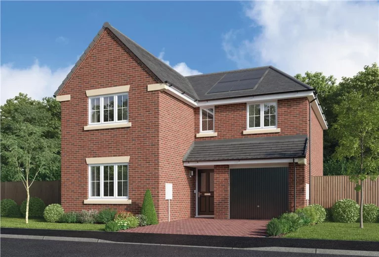 Image carousel 3558776 1773281844