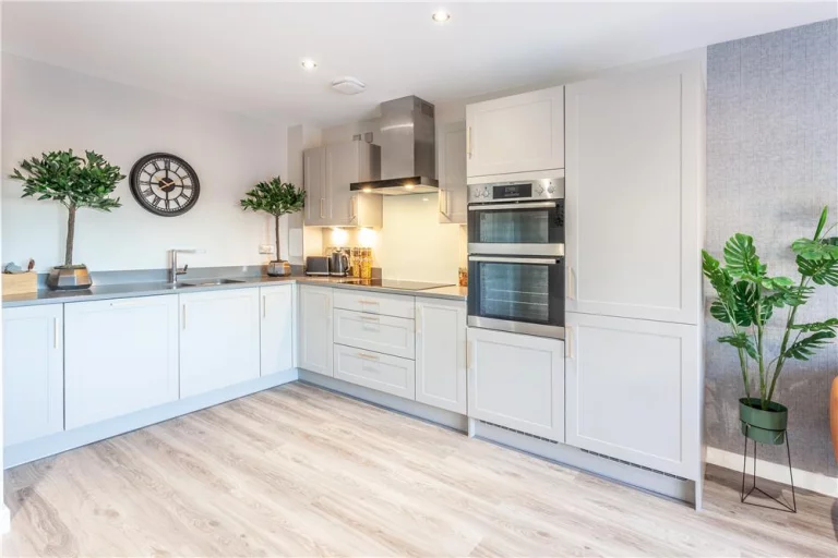 Image carousel 3558791 1773281846