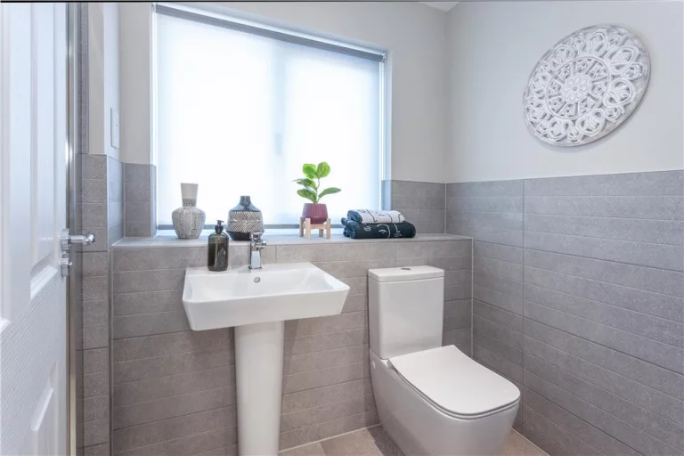 Image carousel 3558831 1773281850