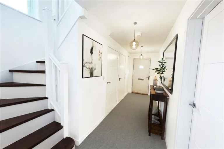 Image carousel 3558881 1773281859