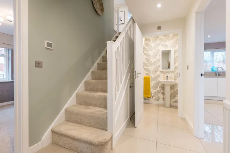 Image carousel 3558931 1773281915