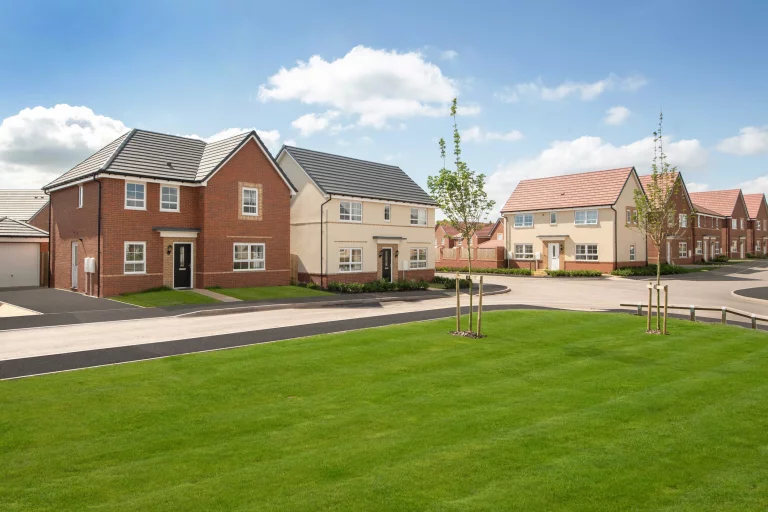 Image carousel 3561066 1773457254