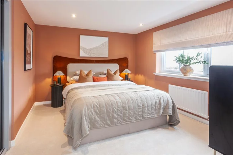 Image carousel 3564926 1774058765