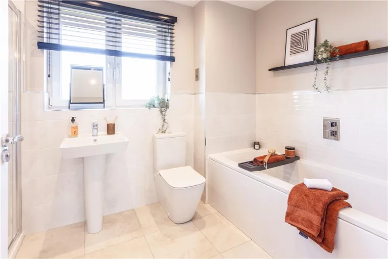 Image carousel 3564981 1774058767