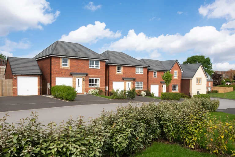 Image carousel 3565091 1774062064