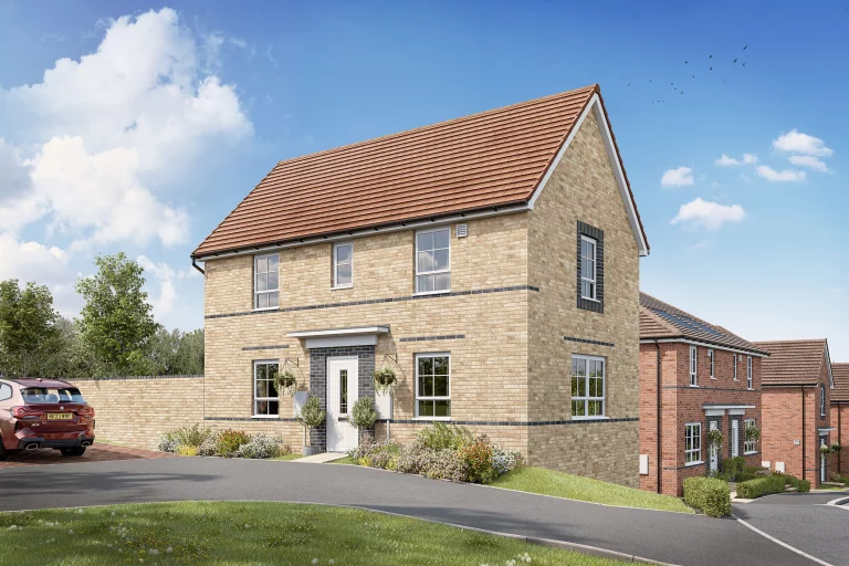 Image carousel 3565576 1774148538