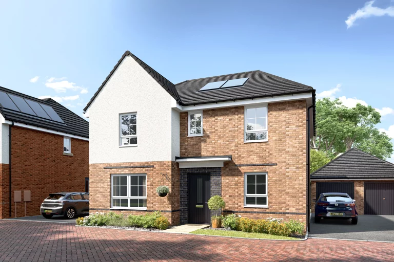 Image carousel 3567816 1774494101