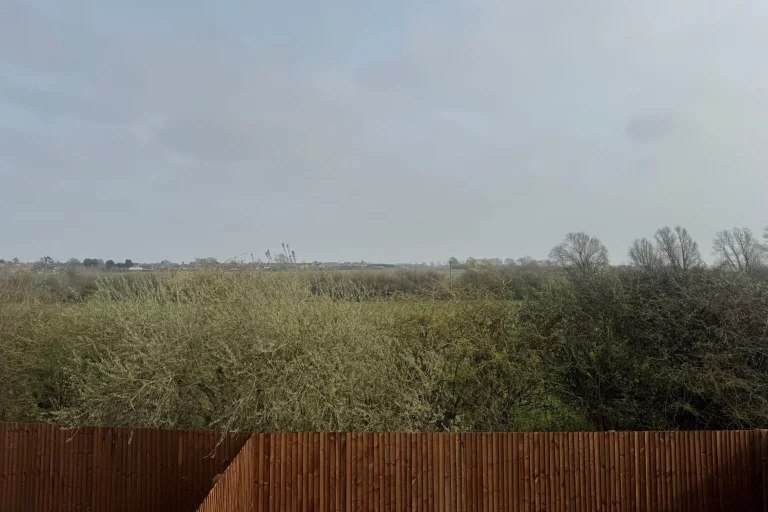 Image carousel 3567836 1774494120