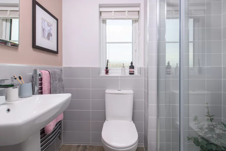 Image carousel 3569636 1774753359