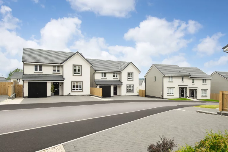 Image carousel 3569846 1774926092