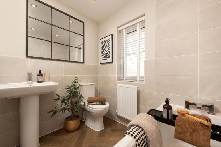 Image carousel 3569891 1774926117